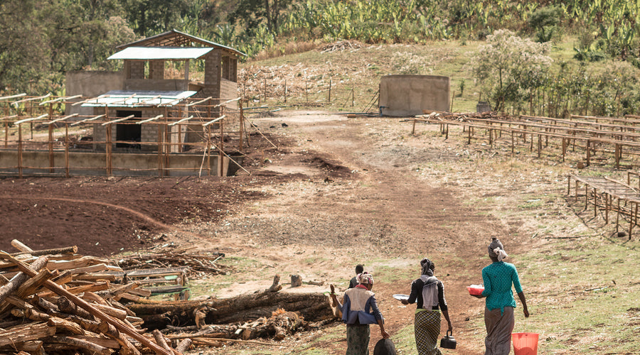 Ethiopia: A Dream Come True